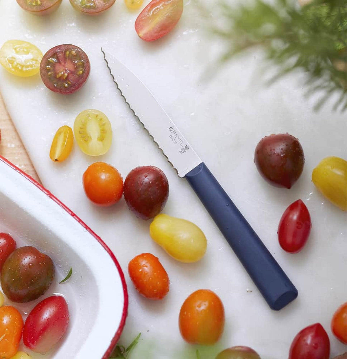 Opinel N°313 Serrated Blue - NatureLife