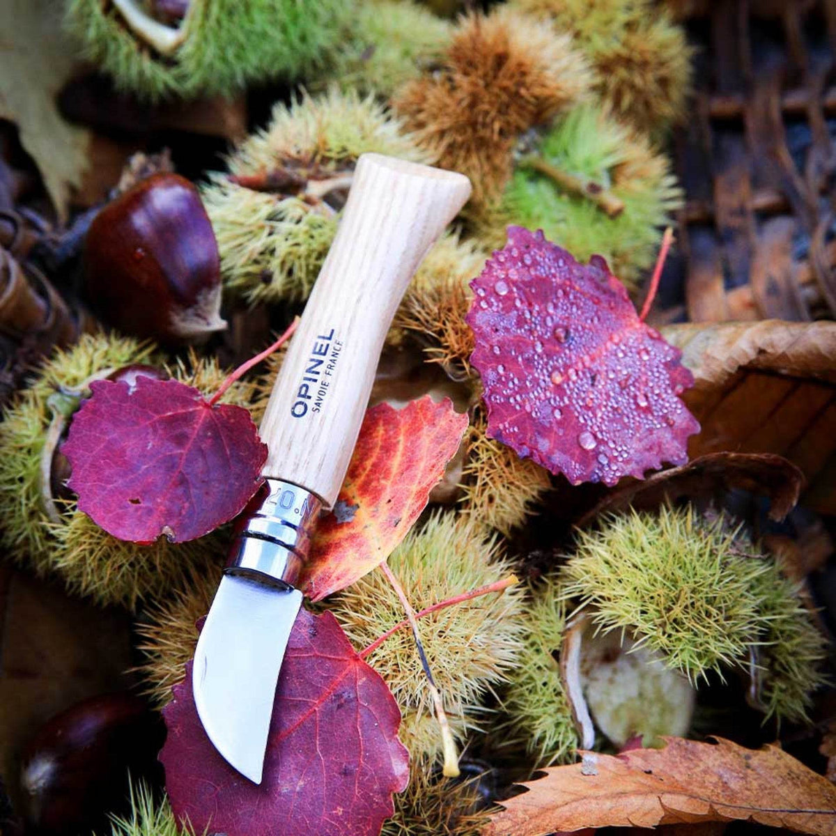 Opinel N07 Chestnut Garlic Chestnut Wood / Kastanj- & vitlökskniv - NatureLife