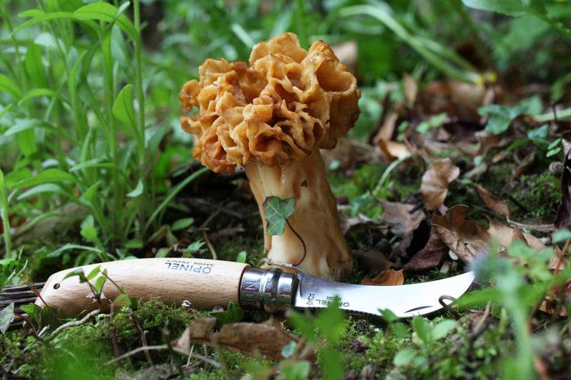 Opinel N08 Mushroom Oak + Sheath / Svampkniv & hölster - NatureLife