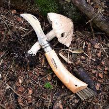 Opinel N08 Mushroom Beech Svampkniv - NatureLife