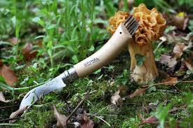 Opinel N08 Mushroom Beech Svampkniv - NatureLife